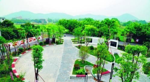 山东省会进行大范围拆迁么？