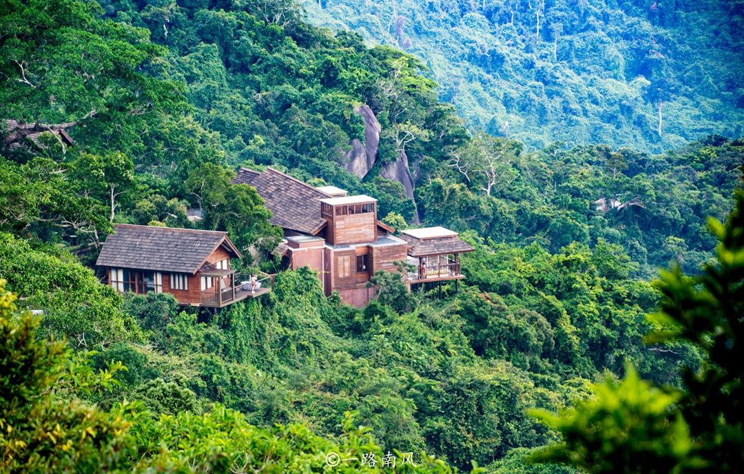 海南三亚有一个离海洋最近的森林公园,葛优舒淇李现都来过