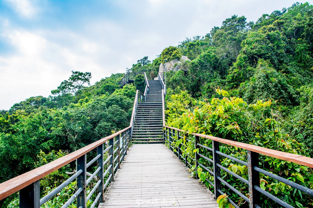 海南三亚有一个离海洋最近的森林公园,葛优舒淇李现都来过