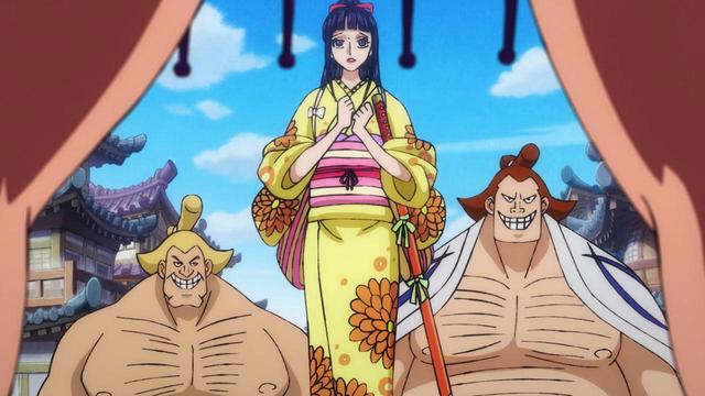 尾田的回答,再次印证了小菊的性别|性别|妹子|海贼_新浪新闻