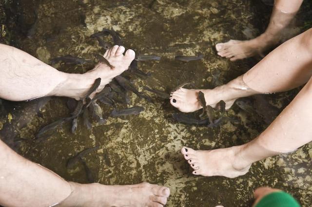 鱼疗餐厅异常的火爆老板却苦不堪言养的鱼都被臭死了