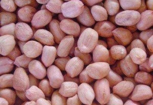 石谷子地种花生就要这样干荚果多而饱满收获容易还增产