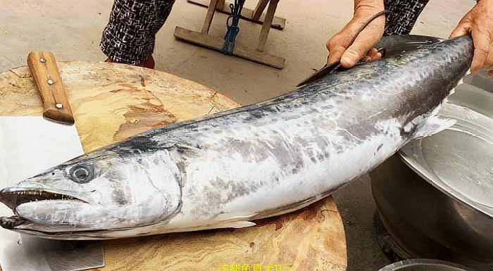 特大鲅鱼怎样处理最正确?最适合做什么美食?海边人教你正确方法|鲅鱼|