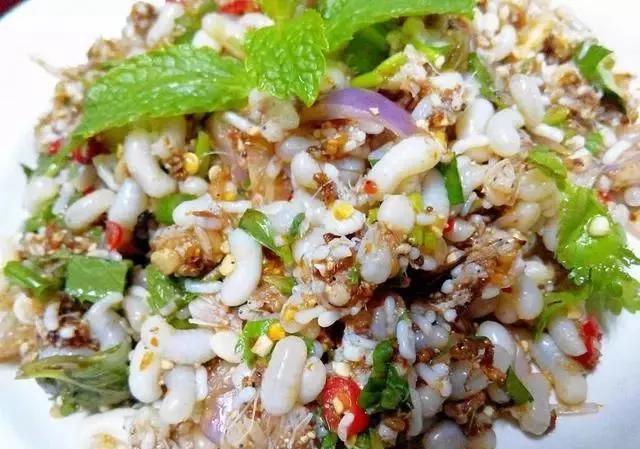 备好垃圾桶   我们要开始了    凉拌蚂蚁蛋   食用的蚂蚁卵,都是生