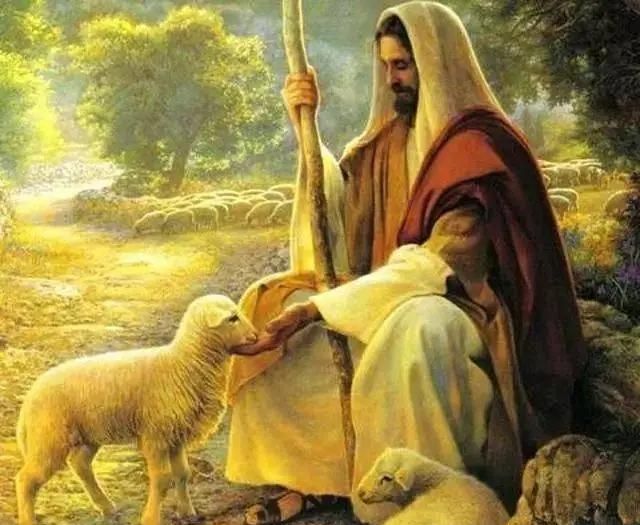 好牧人有哪些好?我们一一细数