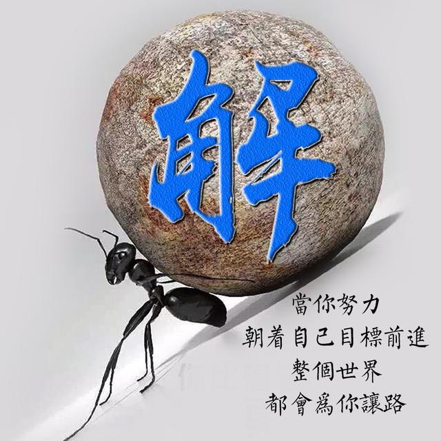 为什么一部明代数学巨著会引发传世风波？...