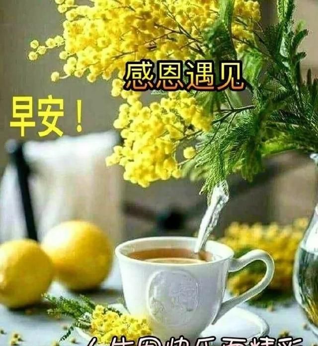 人生似茶,平淡是它的本色,苦涩是它的历程,清香是它的馈赠.早安