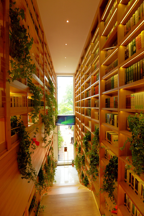 南昌最美书店,画中的艾溪湖美书馆,我是去看书还是该拍照?