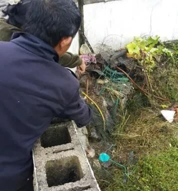 农村院子蛇多,用什么办法可以让蛇不进家门?看老农给的土方法