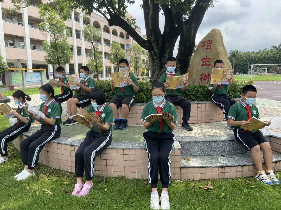 南头镇中心小学   民众镇德恒学校   小榄镇吉安学校   西区广丰小学