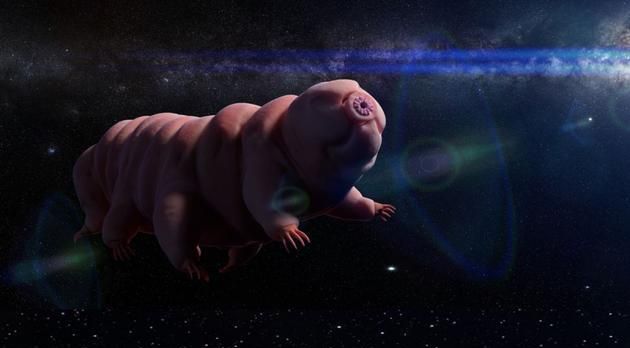 水熊掌柜 新浪网