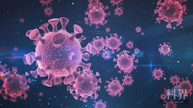中国科研团队发现可阻断新冠病毒感染的抗体|新冠肺炎_新浪新闻
