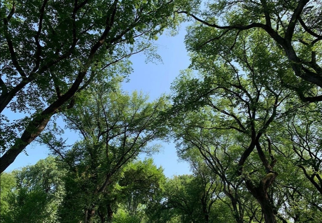 宋慧乔玄彬旧情复燃?五大证据疑似锤实恋情,韩娱又活久见了