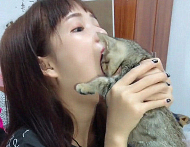 男子把猫头塞进嘴里,再从口中拿出来后感叹:多么熟悉的眼神呀