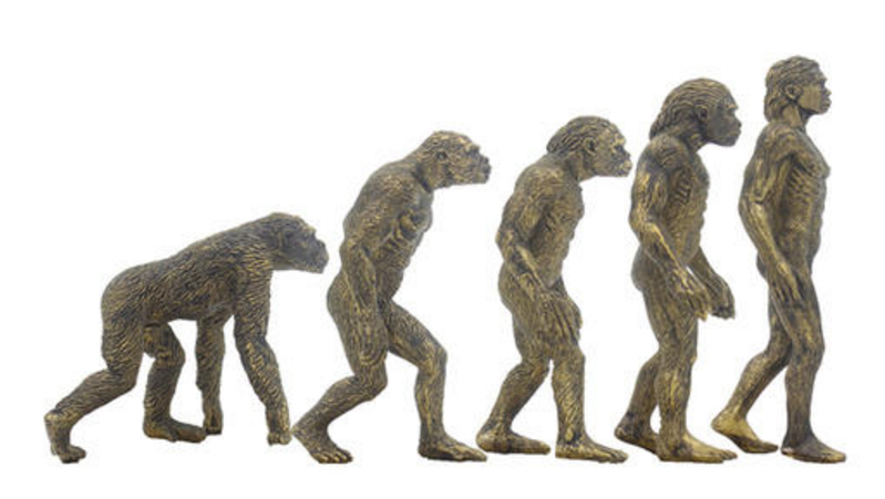 达尔文进化论适合动物,却不适合人类,人类历史就是开挂的历史