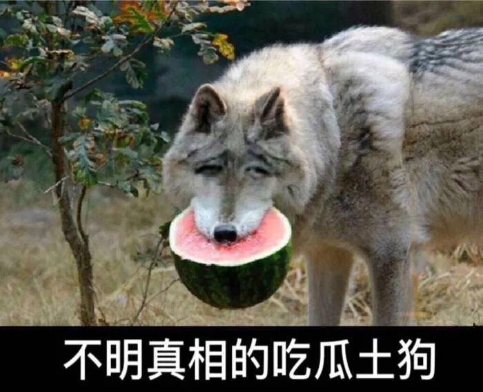 都抵挡不住这波"吃瓜的诱惑"|瓜田|八卦|表情包_新浪新闻