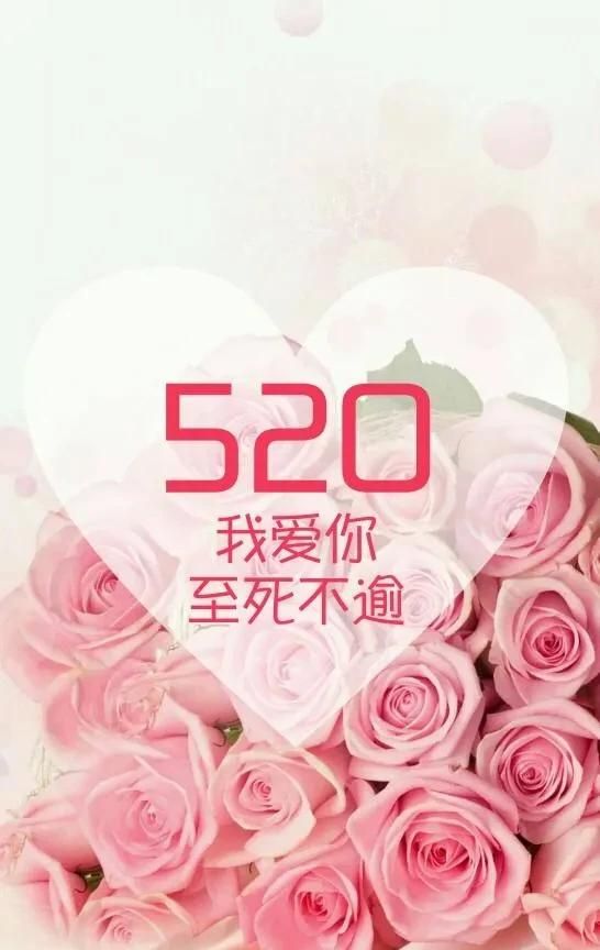 520送给女朋友的温馨祝福语句,520表白句子大全|我爱你|如果爱|一生