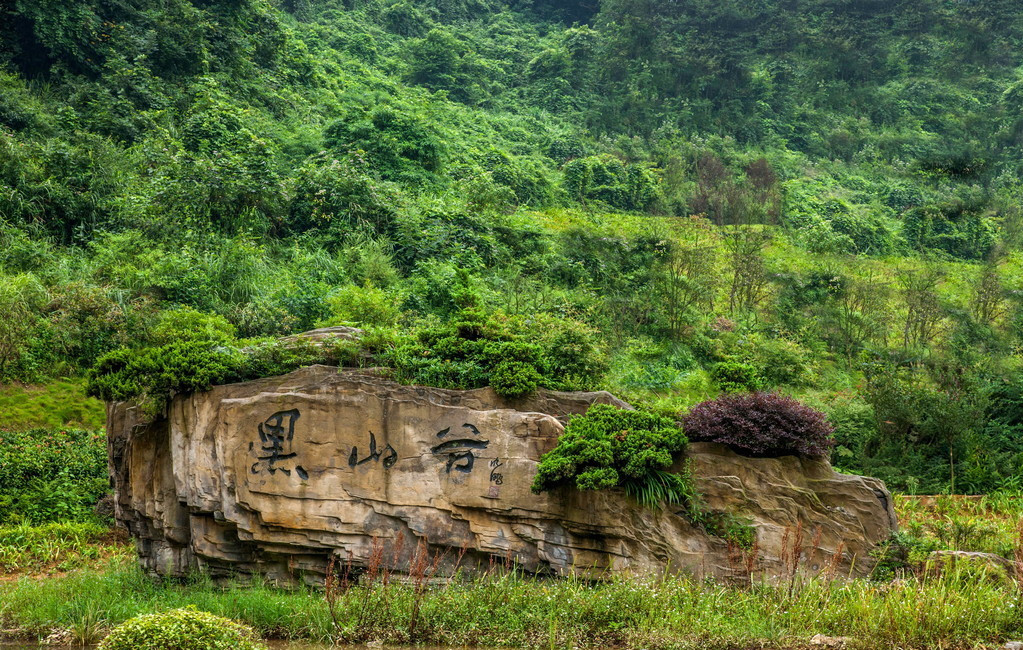 重庆的黑山谷景区,为什么被众旅客说达不到5a呢?真有这么差吗?