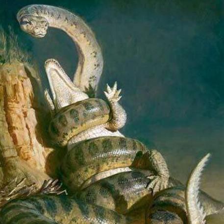 比13米帝鳄更长的泰坦巨蟒,是地球上最长的生物吗?