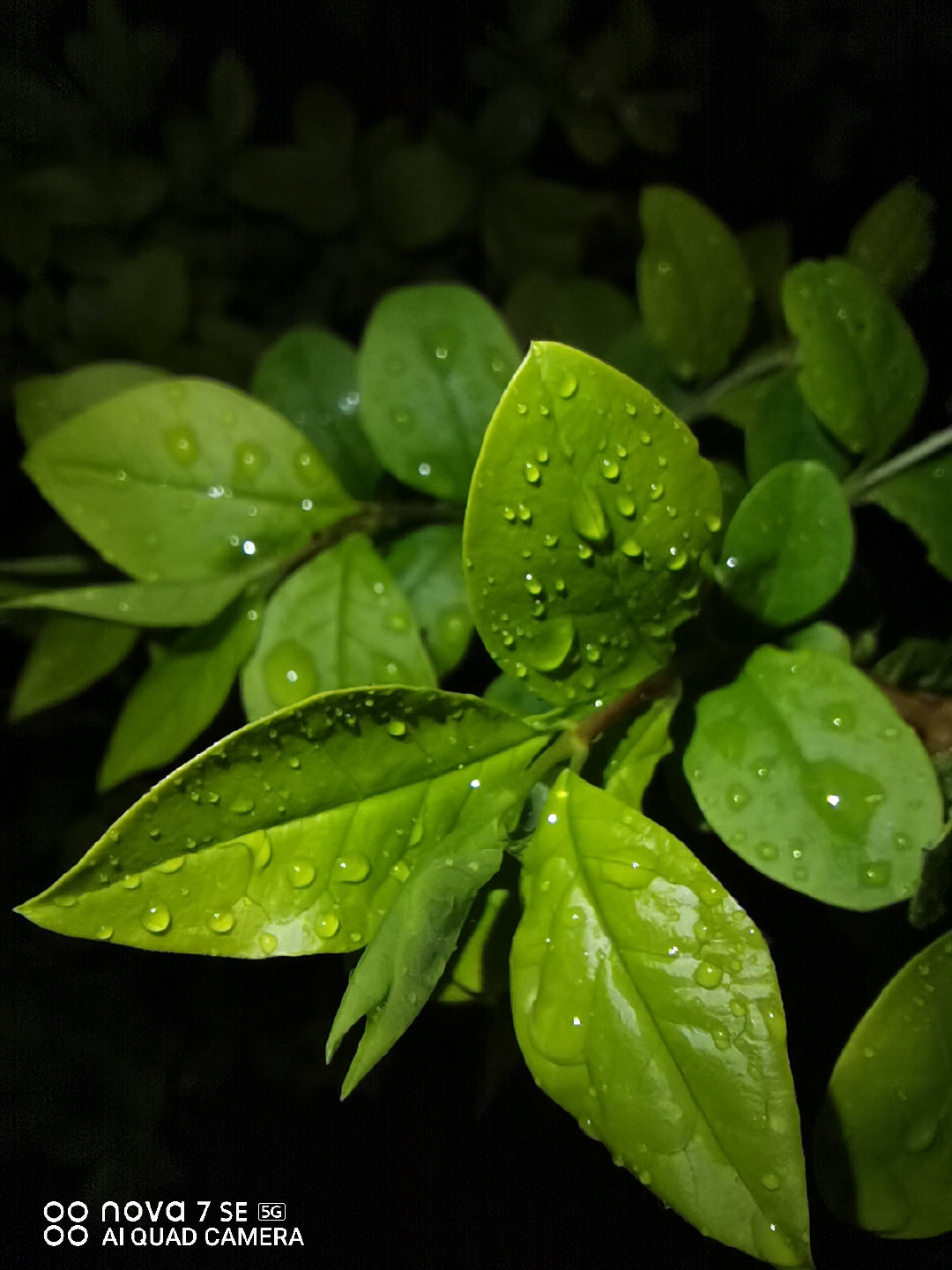 献给生活的拍照神机独一无二的你需要一台华为nova7se