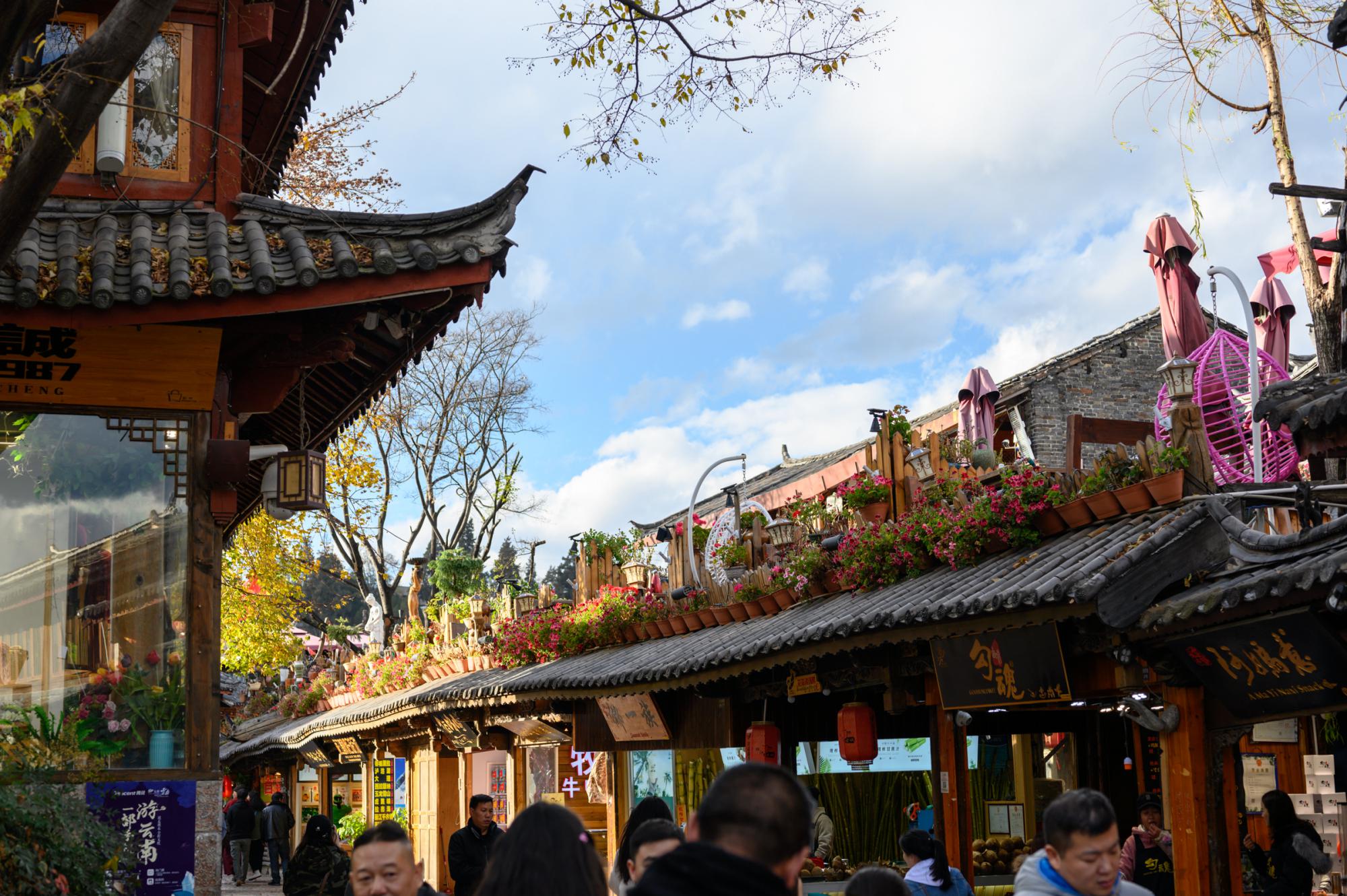 云南丽江古城旅游,真的有网上说的那么不堪吗?走进发现并非如此|云南|