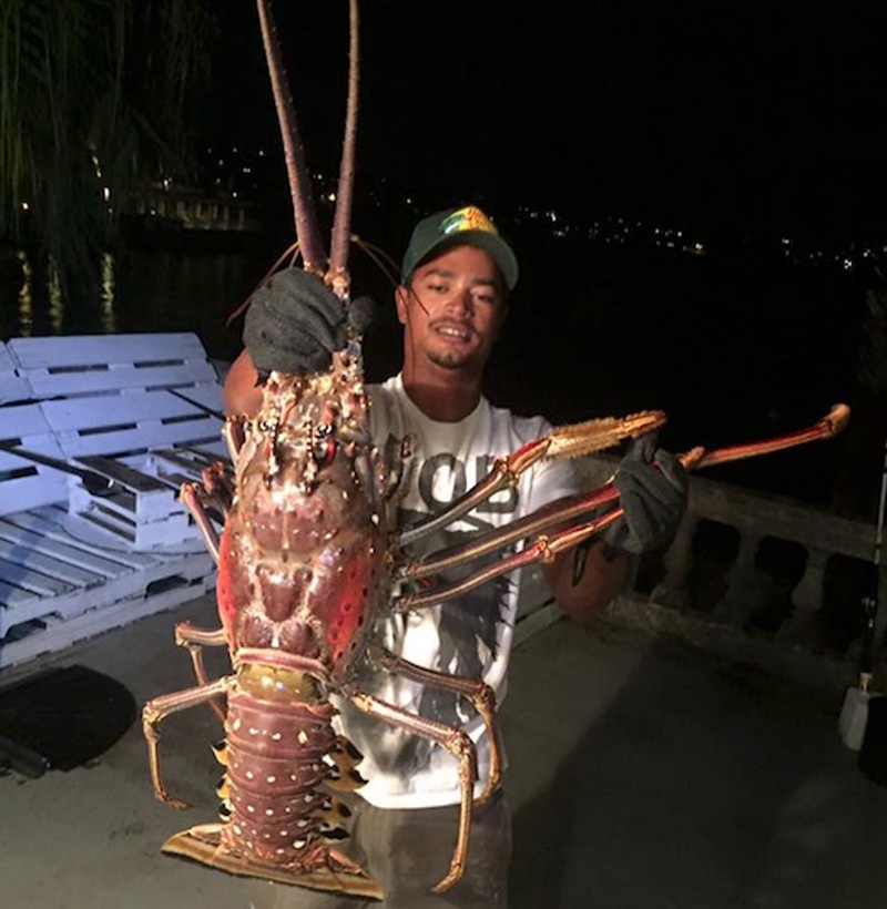 百慕大渔民捕获巨型红色"龙虾精",引得当地居民围观热议