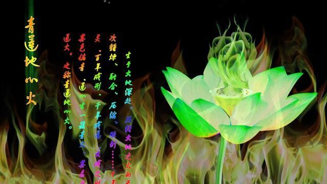 各有所长,青莲地心火和净莲妖火,前者纪念意义大