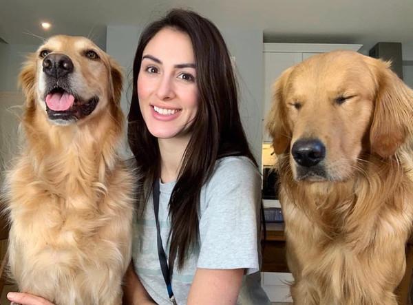 英国金毛超级自来熟在地铁上和老人一见如故无视主人过去撒娇