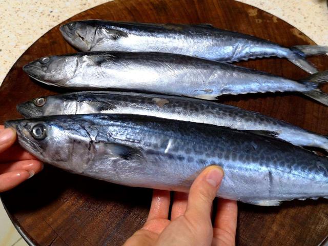买鲅鱼时,这4种白送都不要,看到直接走,老板:我自己都不吃