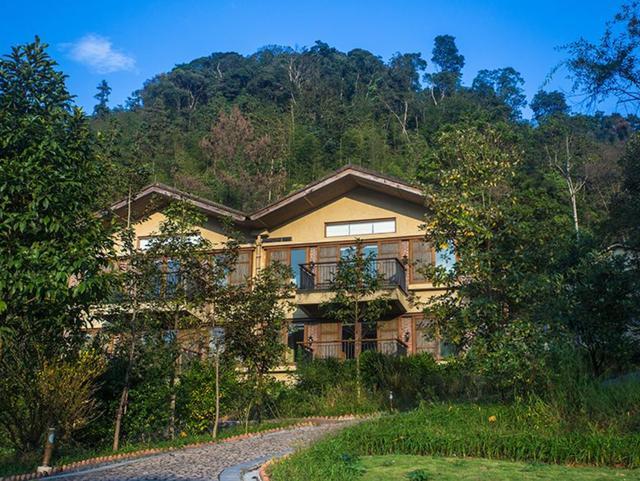 我国首家顶级生态度假村,建于悬崖边上,隐藏于森林中的世外桃源