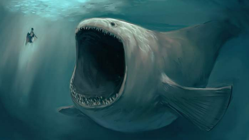 比13米帝鳄更长的泰坦巨蟒,是地球上最长的生物吗?