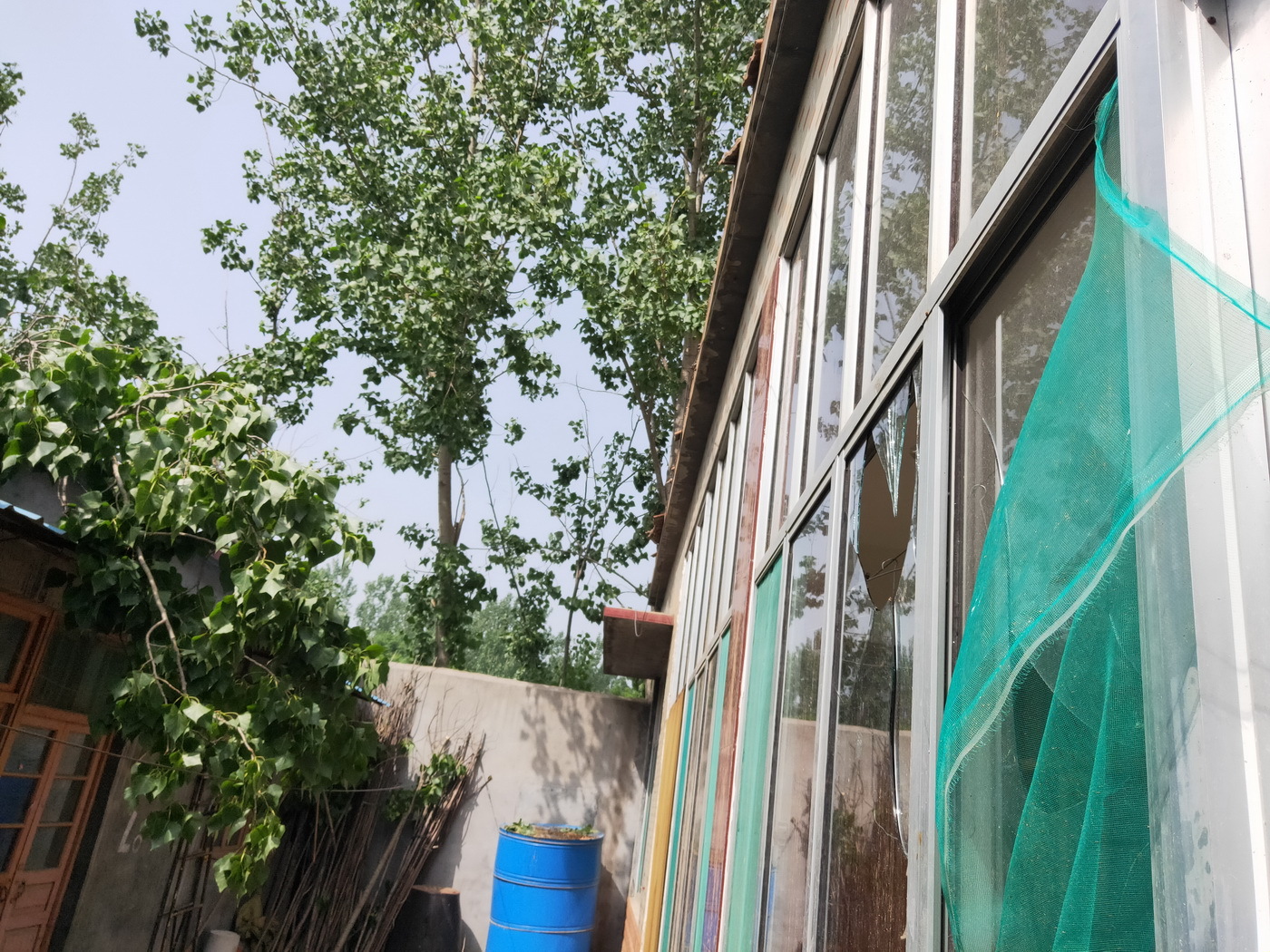 山东：惠民遭遇风暴袭击 树枝满地瓦片乱飞