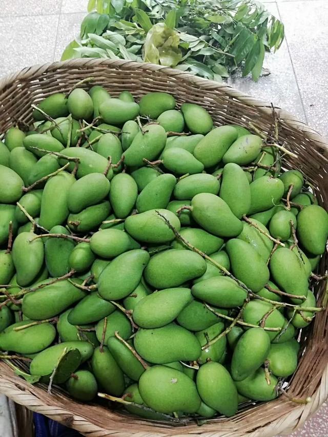 酸脆爽口的青芒果撩动夏日的味蕾