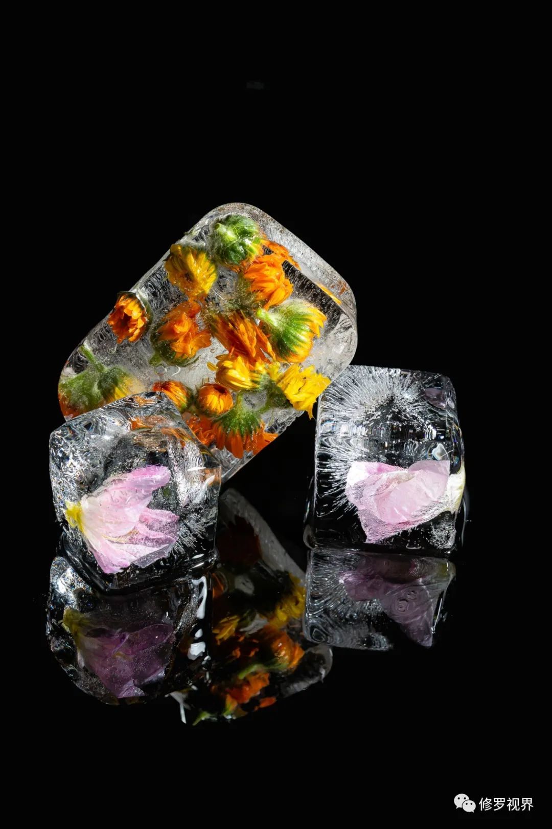 鬼才摄影师送您一枝冰玫瑰/脑洞大开了