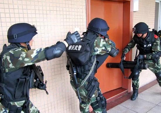 正文   特警:大多都是指各城市公安部门领导的特种警察力量,他们属于