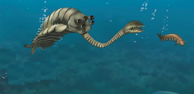 欧巴宾海蝎你长得也太奇怪了吧