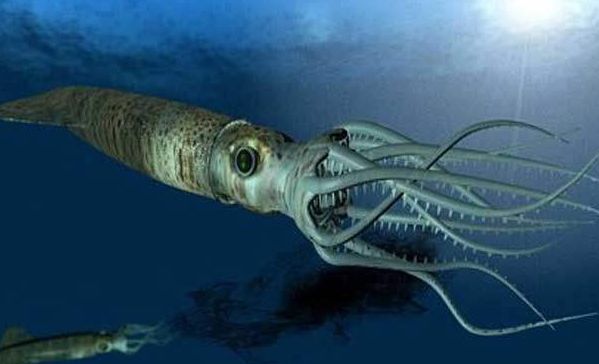 真实存在的怪物,生存在深海之中,人类平时难以看见