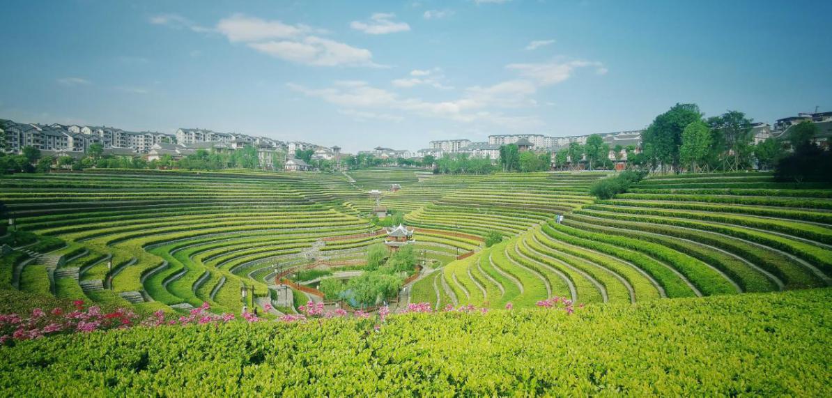 贵州奢香古镇,全国唯一城市花海梯田,过向往的生活!