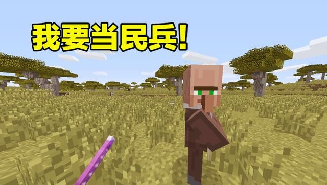 其实mc后面几个版本的更新,最大的内容就是村庄的更新了,村民们不再是