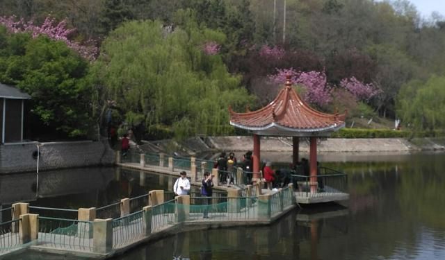 青岛有个曲径通幽处,禅房花木深的景点,绿树成荫,游客如织!