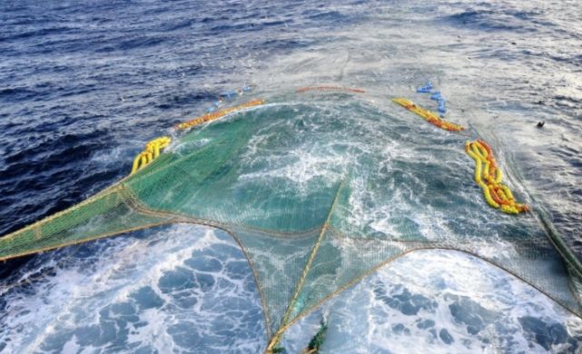 地球bug!南极磷虾每年被吃掉3亿吨,数量犹如开挂增长|南极磷虾|南极|