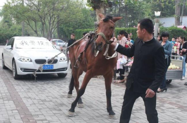 车主用马匹拉宝马轿车上街，车子刚买不久就问题不断