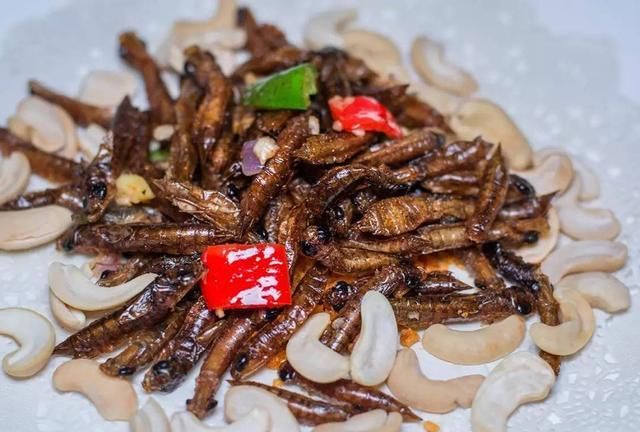 (被端上餐桌的油炸水虿)笔者个人认为,蜻蜓是一种对人对农业都有益的