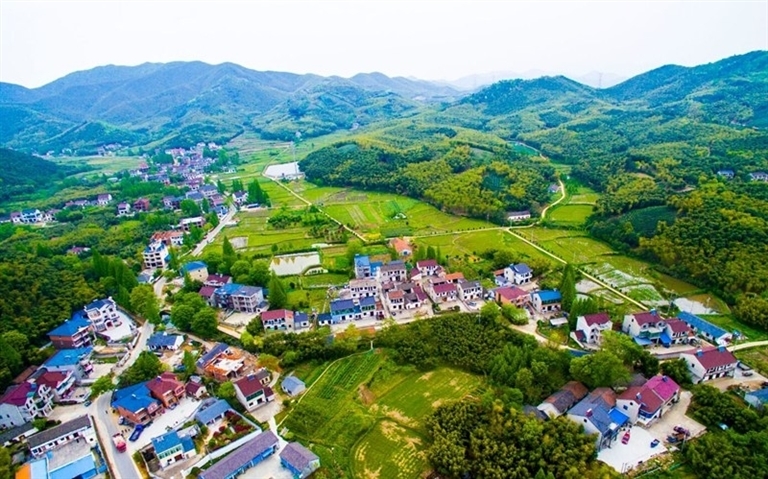 妙山村的"发展密码"