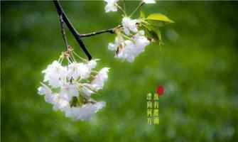 最美的年龄称谓:花信之年、豆蔻之年、