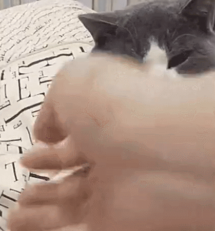 419_451gif 动态图 动图