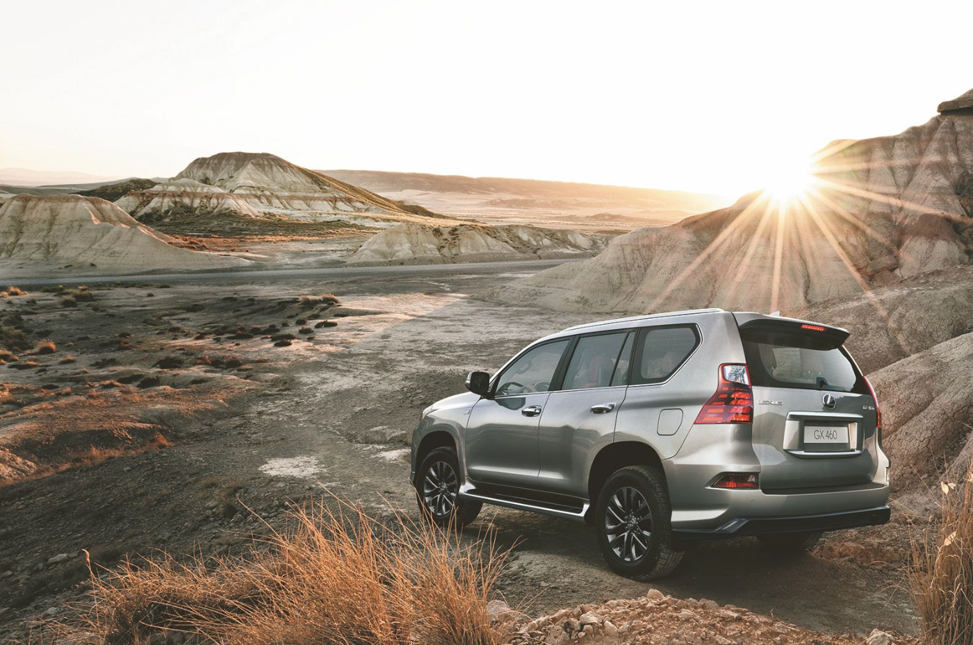 2020雷克萨斯gx460