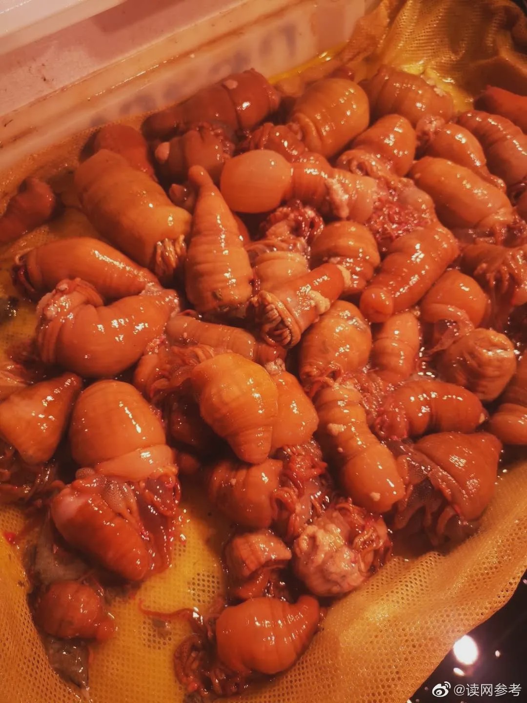 沙蒜,海的味道!