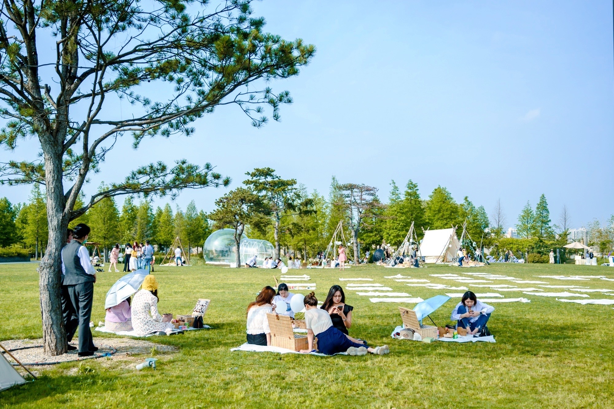 南京"草地野餐"好去处,就在长江边上,邂逅一场法式的浪漫
