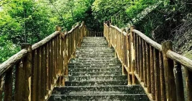 山城漫游去看藏在梯坎儿里的老重庆